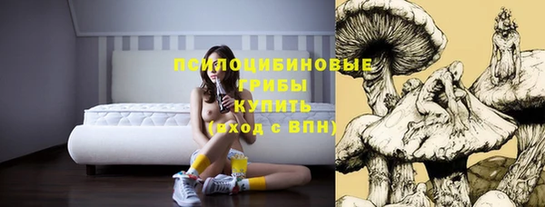 ПСИЛОЦИБИНОВЫЕ ГРИБЫ Бугульма