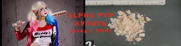 СК Бронницы
