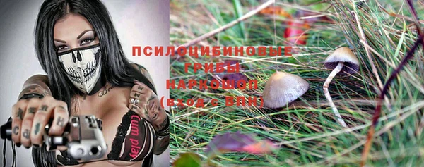 ECSTASY Богданович