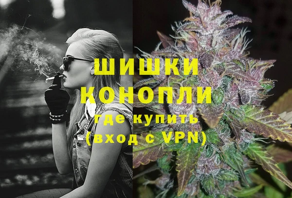 СК Бронницы