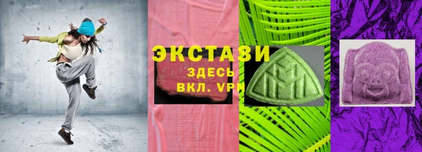ECSTASY Богданович