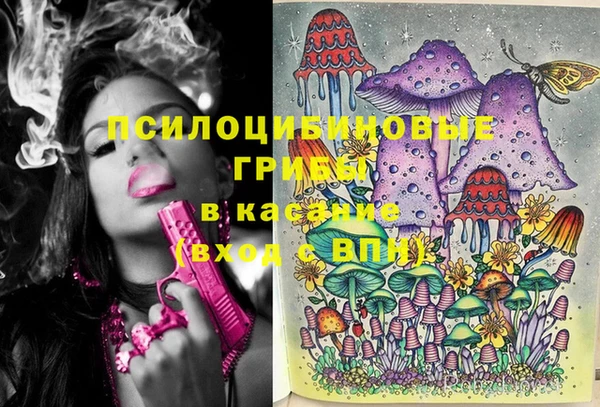 МДПВ Богородицк