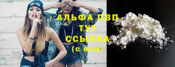 ECSTASY Богданович