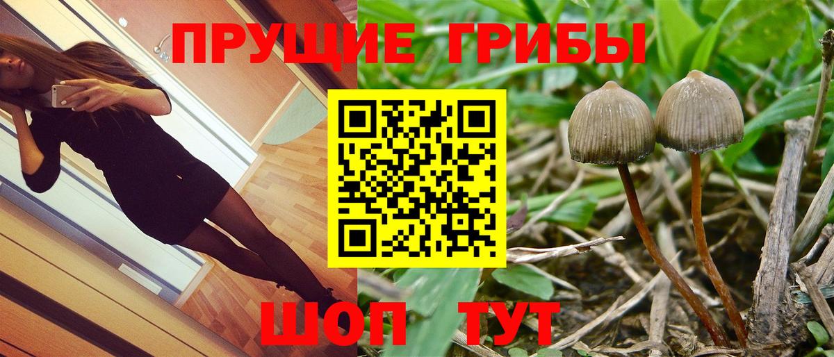 Минеральные Воды  Псилоцибиновые грибы MAGIC MUSHROOMS  Вход с VPN 